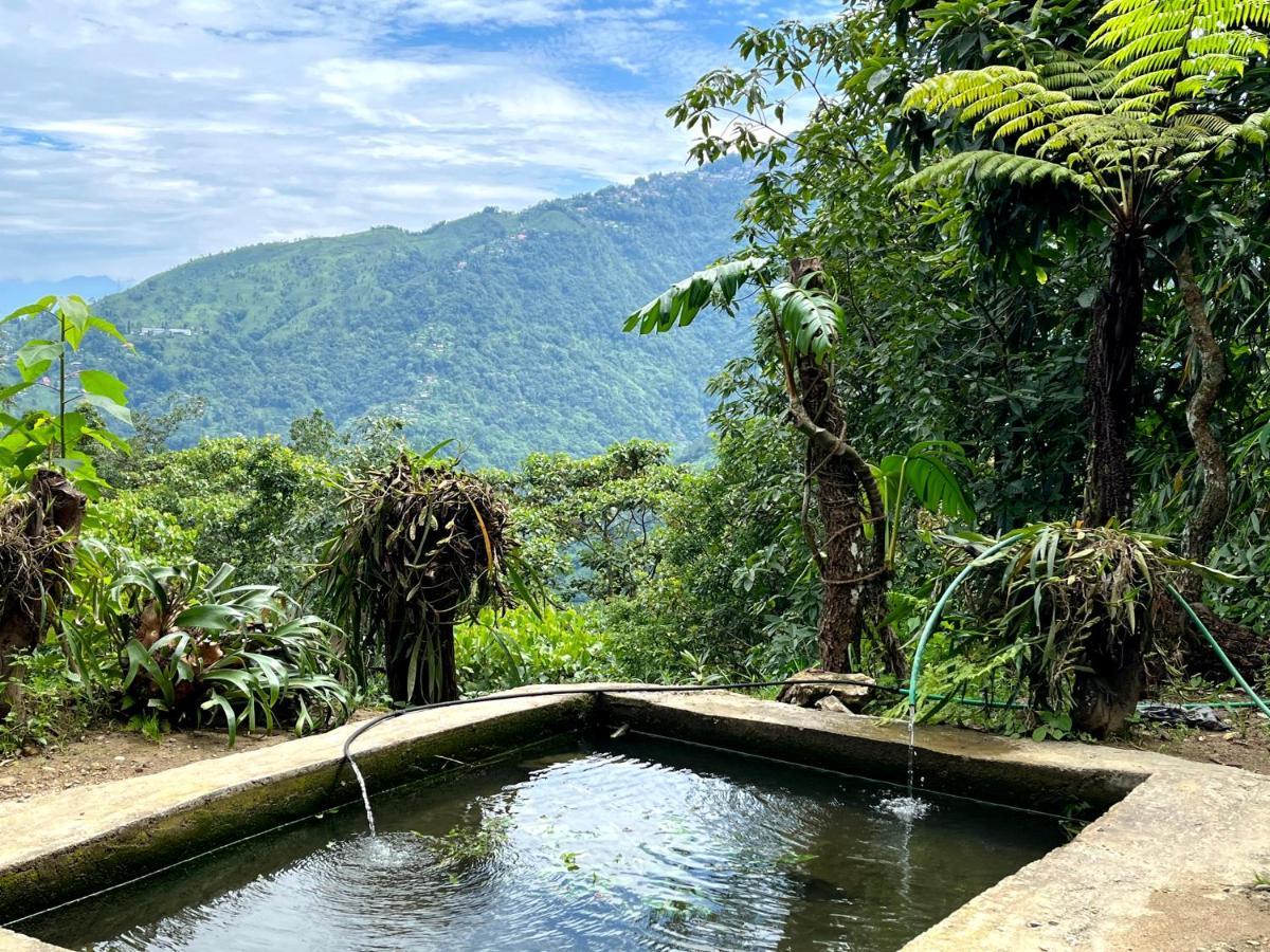 Hosanna Homestay 大吉岭 外观 照片