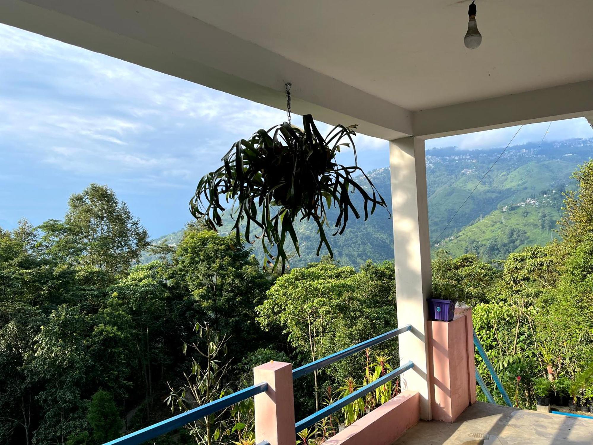 Hosanna Homestay 大吉岭 外观 照片