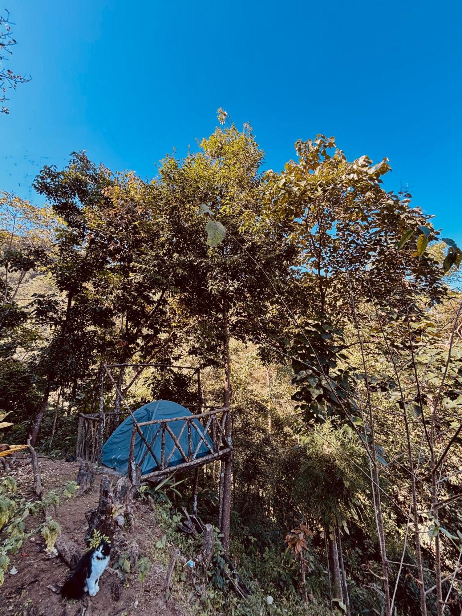 Hosanna Homestay 大吉岭 外观 照片