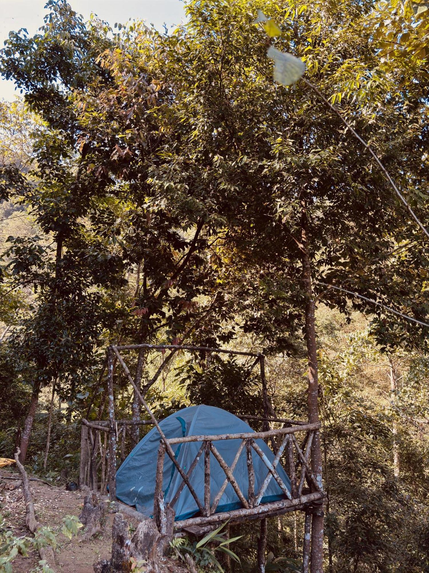 Hosanna Homestay 大吉岭 外观 照片