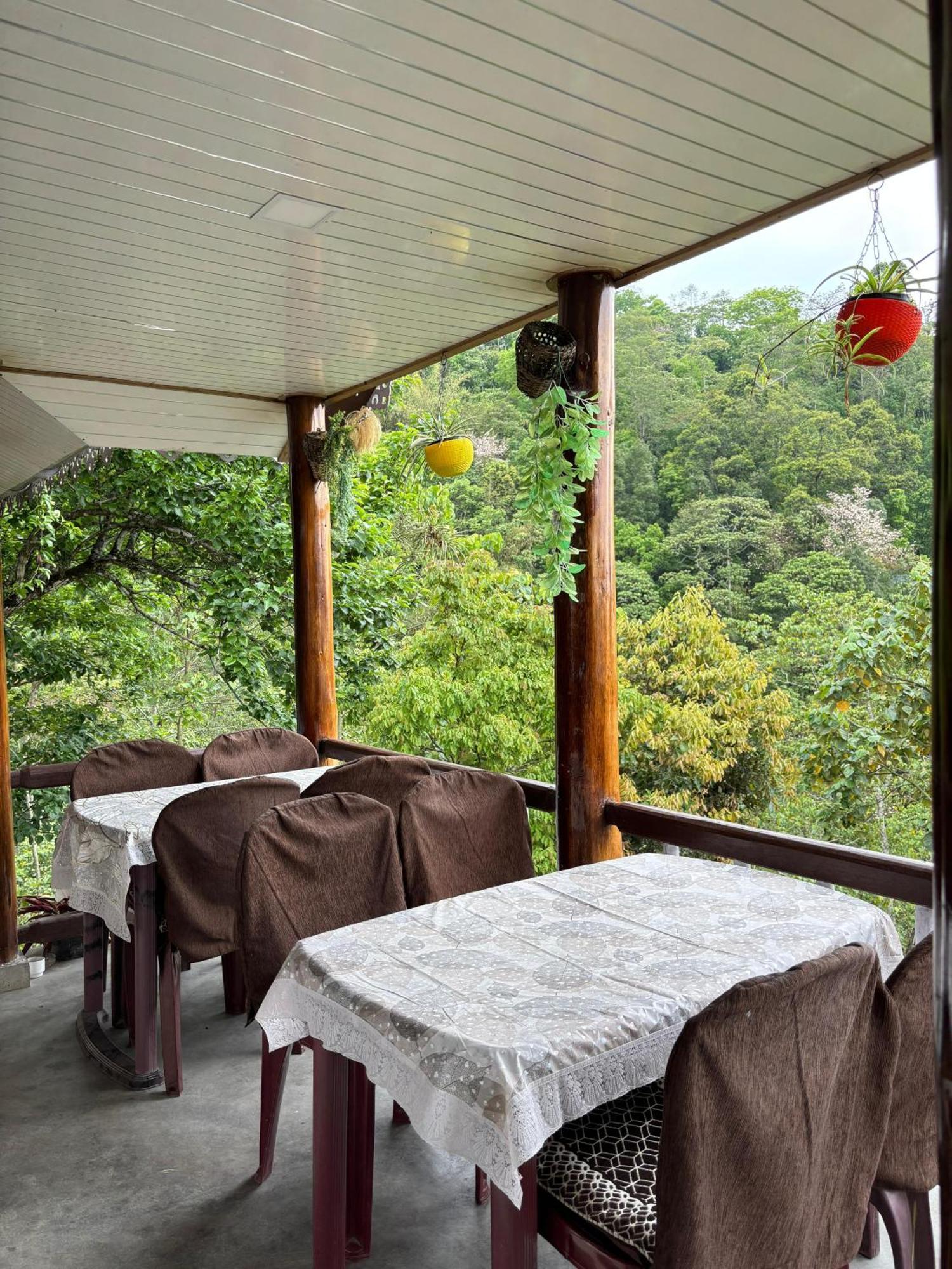 Hosanna Homestay 大吉岭 外观 照片