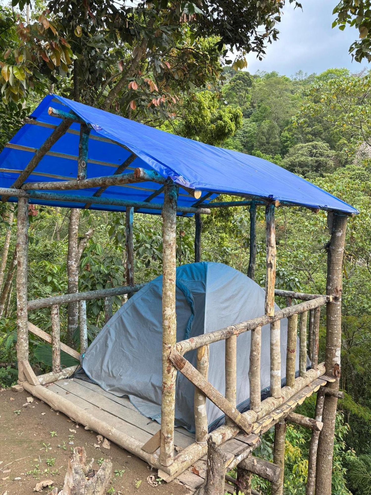 Hosanna Homestay 大吉岭 外观 照片